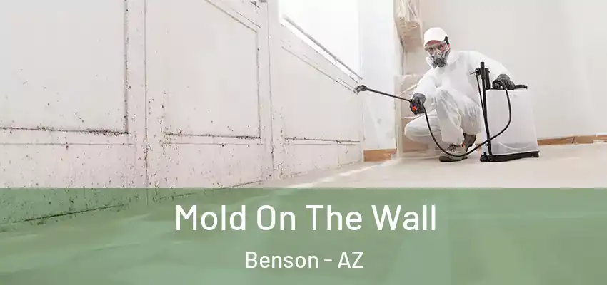  Mold On The Wall Benson - AZ
