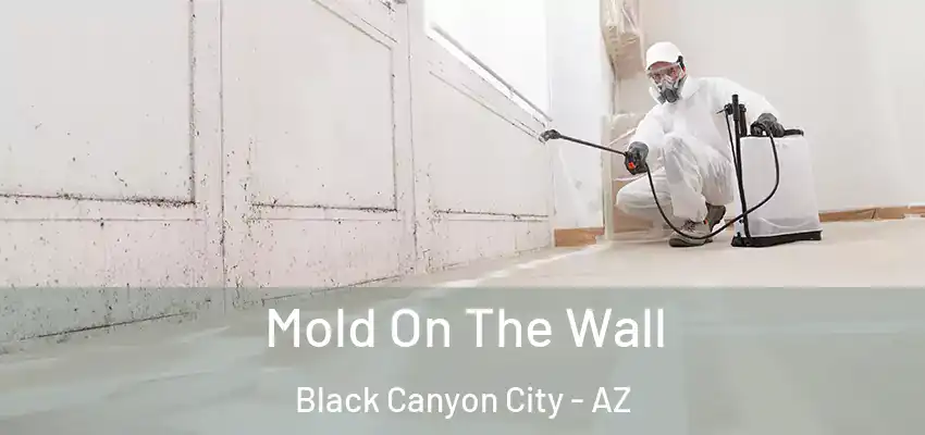  Mold On The Wall Black Canyon City - AZ