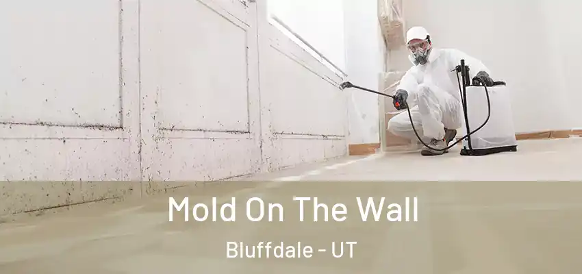  Mold On The Wall Bluffdale - UT