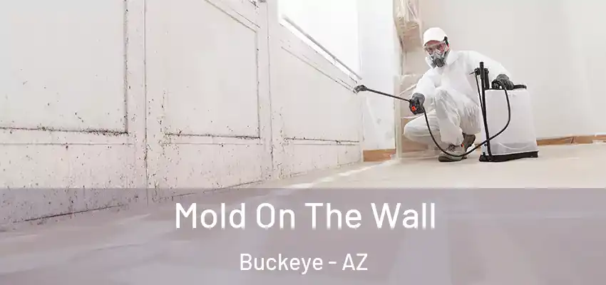  Mold On The Wall Buckeye - AZ
