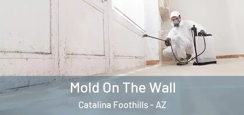 Mold On The Wall Catalina Foothills - AZ