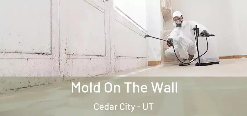  Mold On The Wall Cedar City - UT