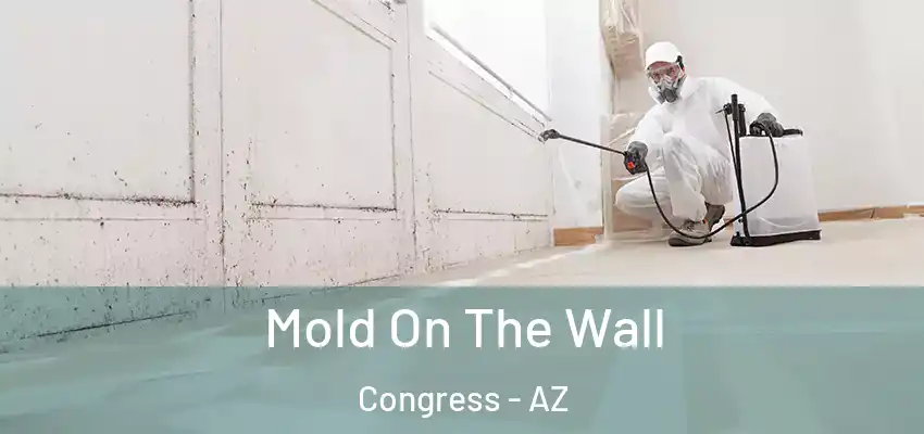  Mold On The Wall Congress - AZ