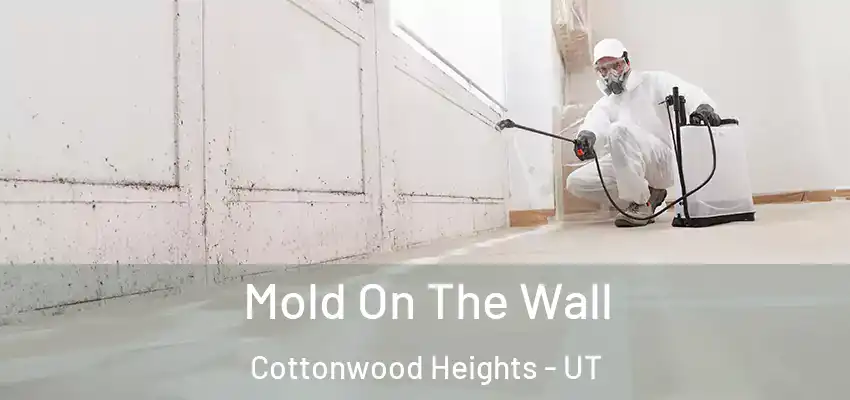  Mold On The Wall Cottonwood Heights - UT