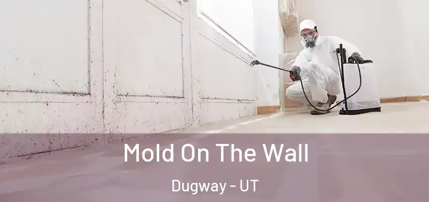  Mold On The Wall Dugway - UT