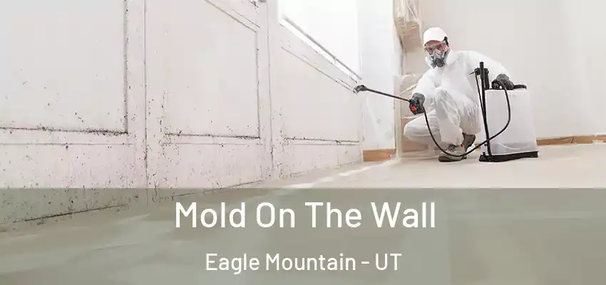  Mold On The Wall Eagle Mountain - UT