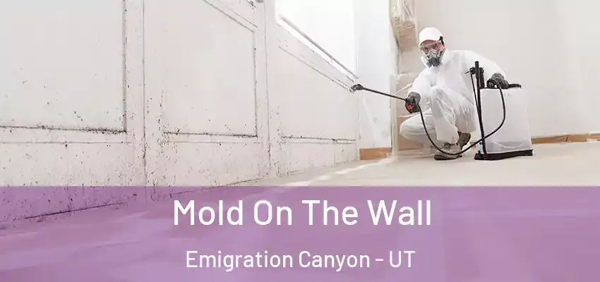  Mold On The Wall Emigration Canyon - UT