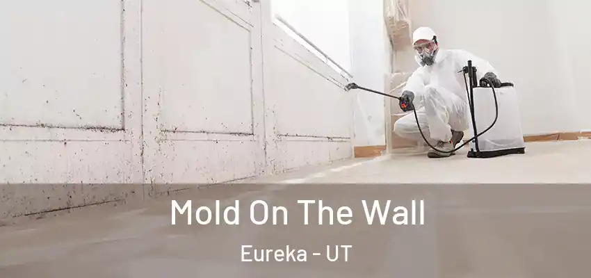  Mold On The Wall Eureka - UT