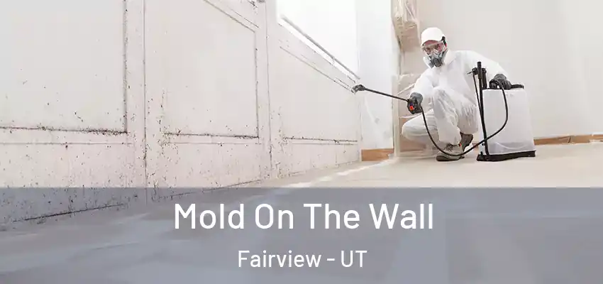  Mold On The Wall Fairview - UT