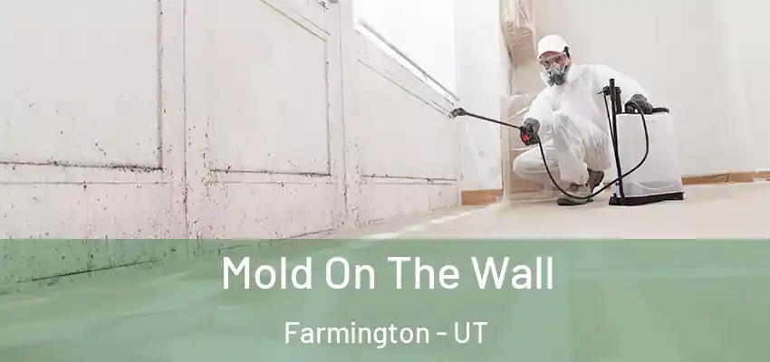  Mold On The Wall Farmington - UT
