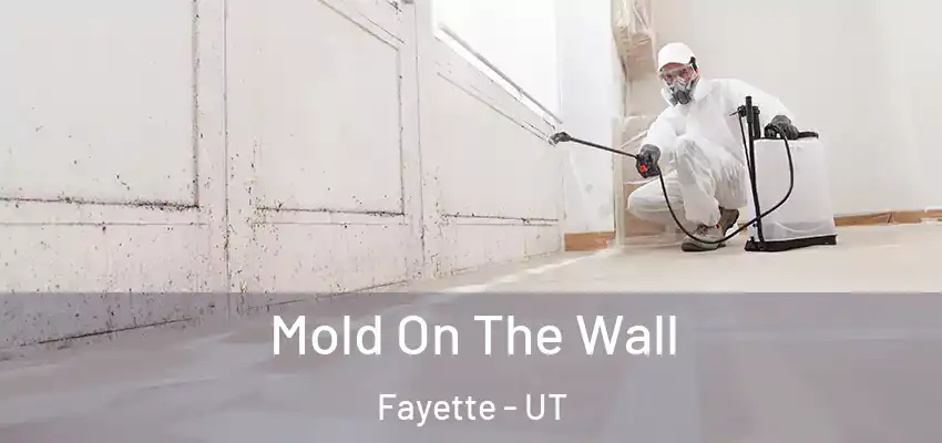 Mold On The Wall Fayette - UT