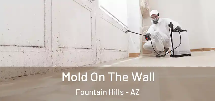  Mold On The Wall Fountain Hills - AZ