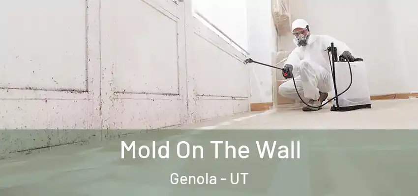  Mold On The Wall Genola - UT
