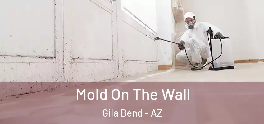 Mold On The Wall Gila Bend - AZ