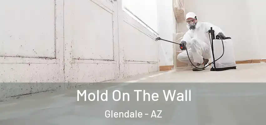  Mold On The Wall Glendale - AZ