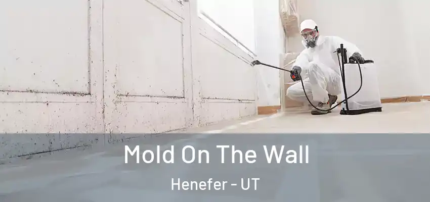 Mold On The Wall Henefer - UT