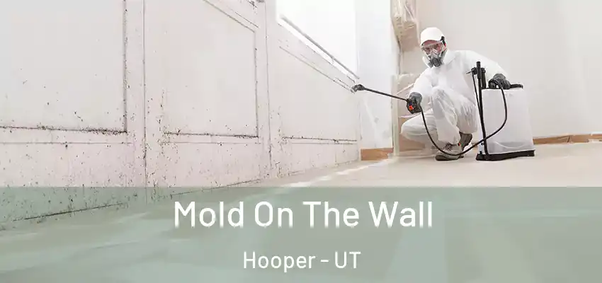  Mold On The Wall Hooper - UT