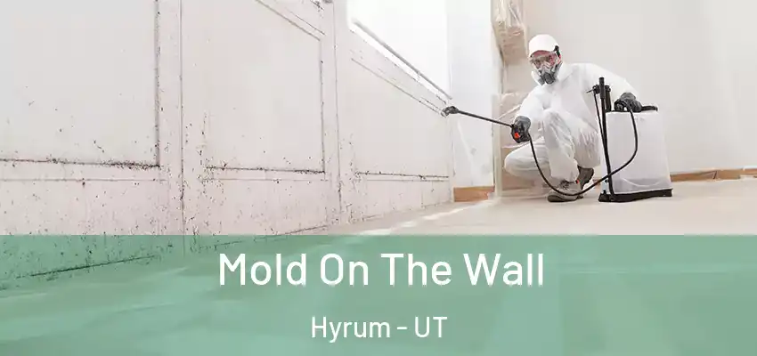  Mold On The Wall Hyrum - UT