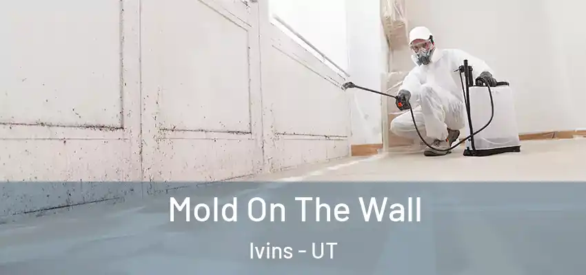  Mold On The Wall Ivins - UT