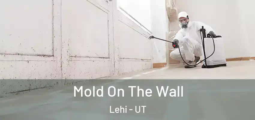  Mold On The Wall Lehi - UT