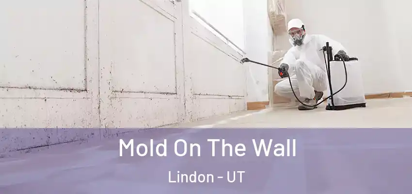  Mold On The Wall Lindon - UT