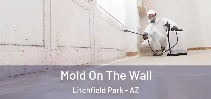 Mold On The Wall Litchfield Park - AZ