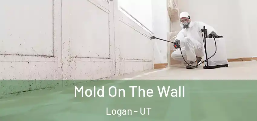  Mold On The Wall Logan - UT
