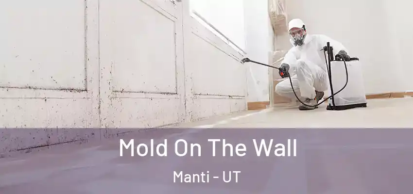  Mold On The Wall Manti - UT