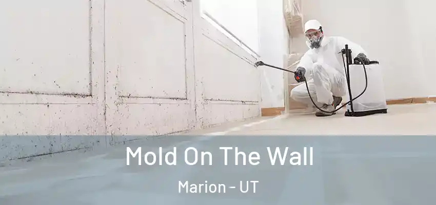  Mold On The Wall Marion - UT