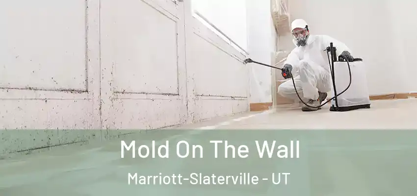  Mold On The Wall Marriott-Slaterville - UT
