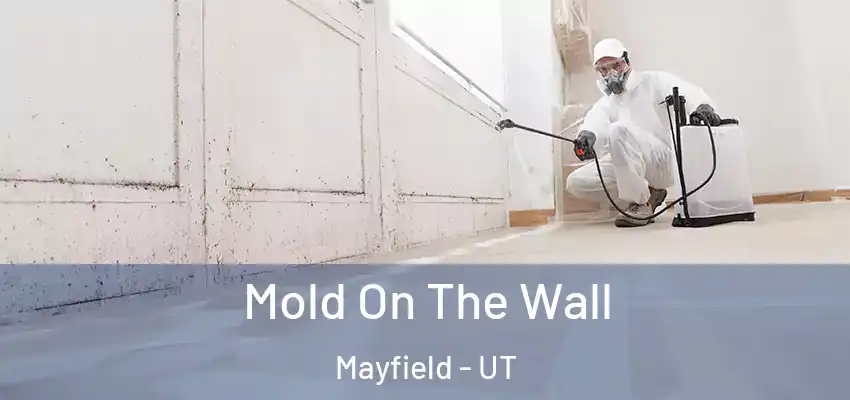  Mold On The Wall Mayfield - UT