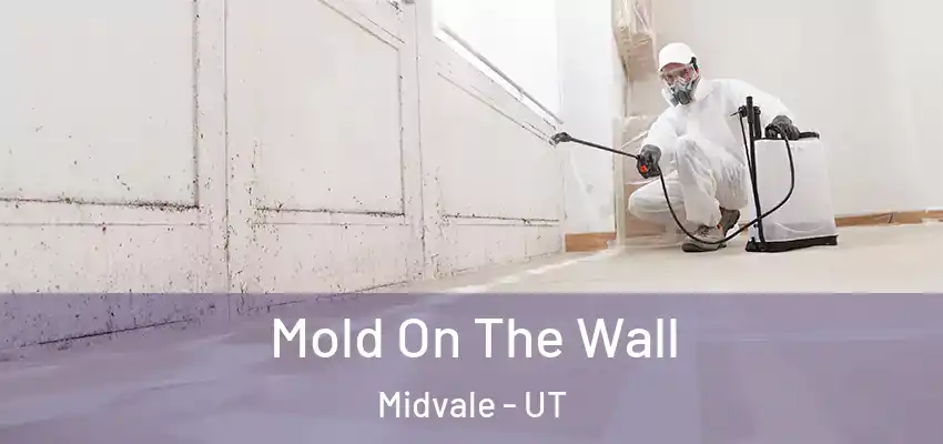 Mold On The Wall Midvale - UT