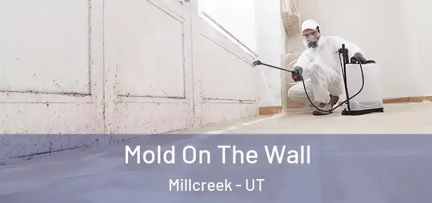  Mold On The Wall Millcreek - UT