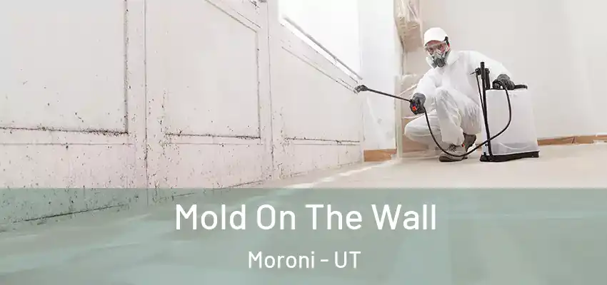  Mold On The Wall Moroni - UT