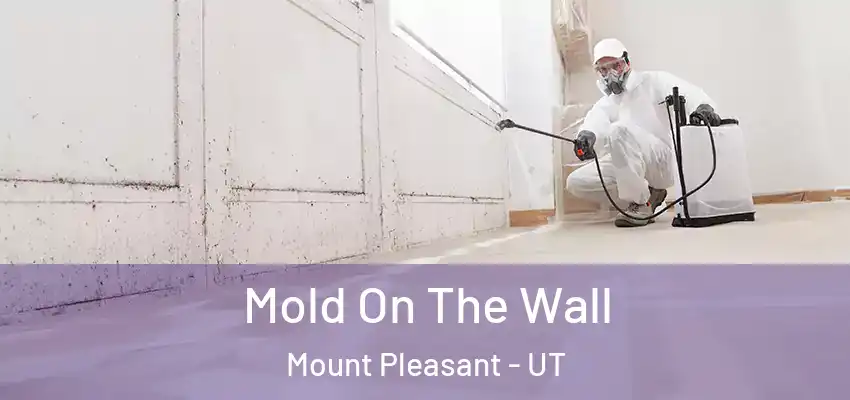  Mold On The Wall Mount Pleasant - UT