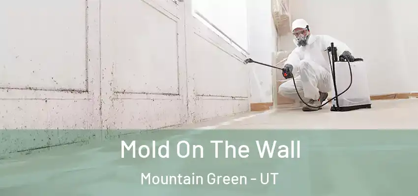  Mold On The Wall Mountain Green - UT