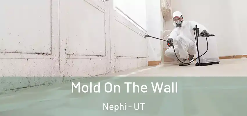  Mold On The Wall Nephi - UT