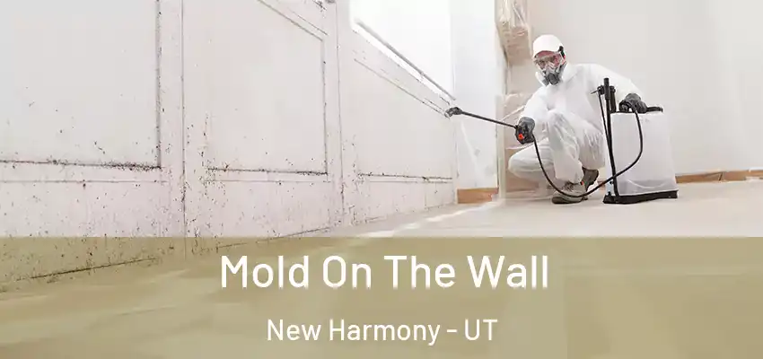 Mold On The Wall New Harmony - UT