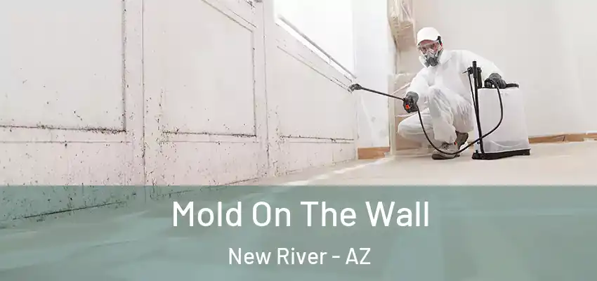  Mold On The Wall New River - AZ