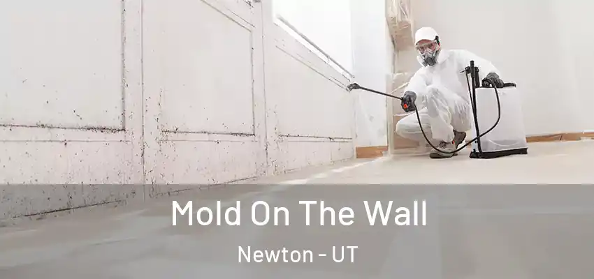  Mold On The Wall Newton - UT