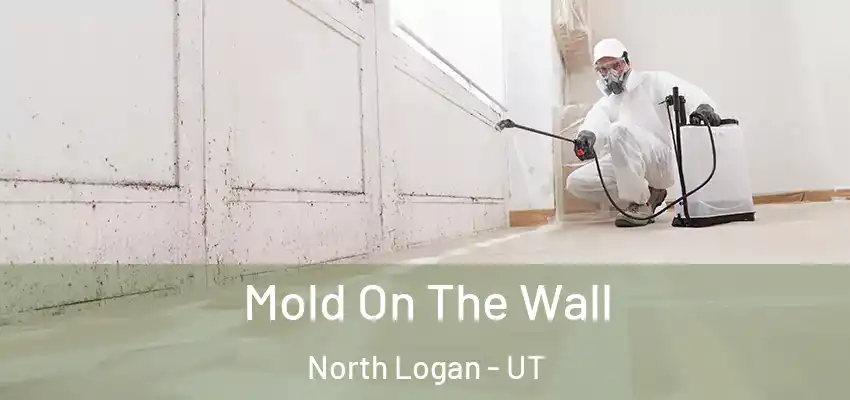  Mold On The Wall North Logan - UT