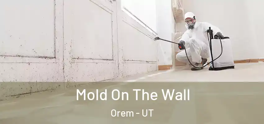 Mold On The Wall Orem - UT