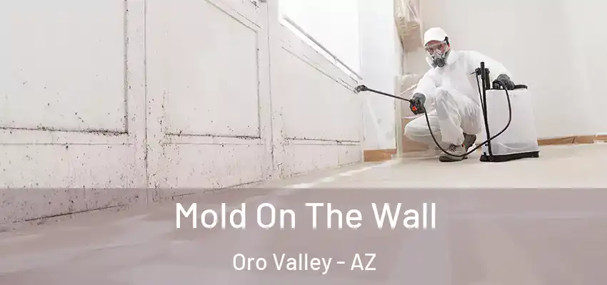 Mold On The Wall Oro Valley - AZ