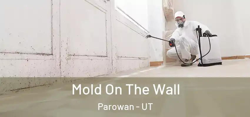 Mold On The Wall Parowan - UT