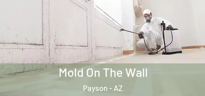 Mold On The Wall Payson - AZ