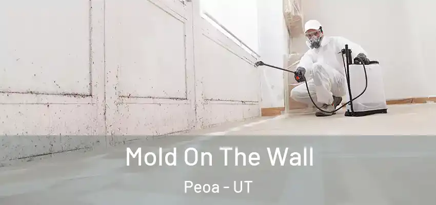  Mold On The Wall Peoa - UT