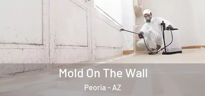 Mold On The Wall Peoria - AZ