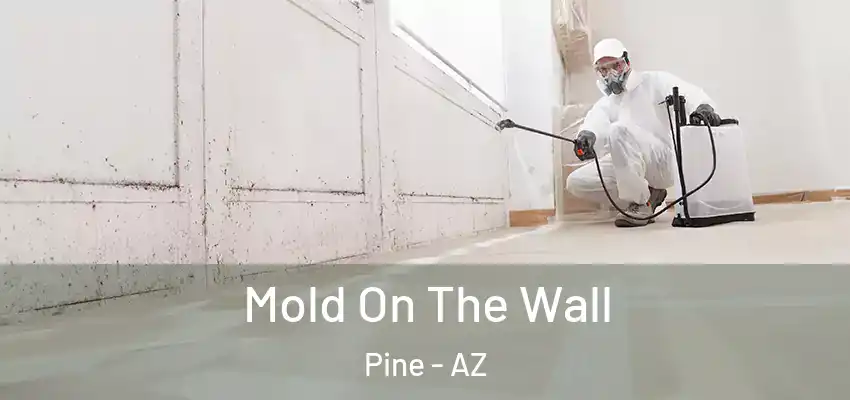 Mold On The Wall Pine - AZ