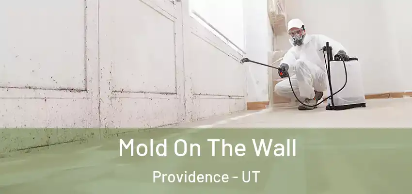  Mold On The Wall Providence - UT