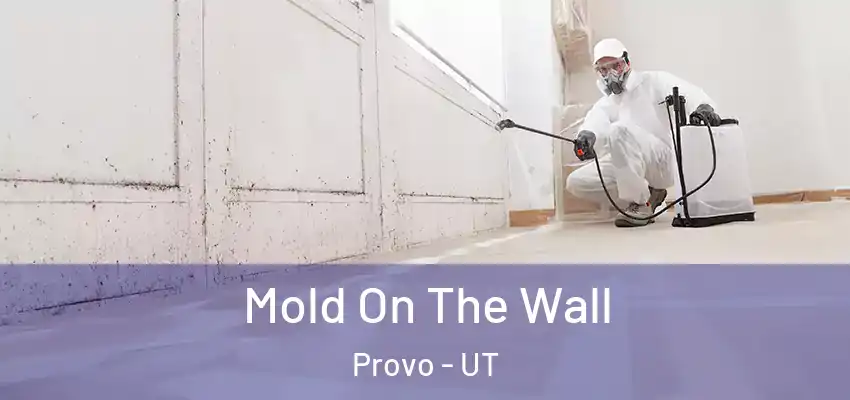  Mold On The Wall Provo - UT